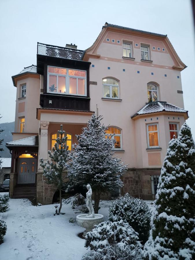 Villa Federer Dolni Zalezly Extérieur photo